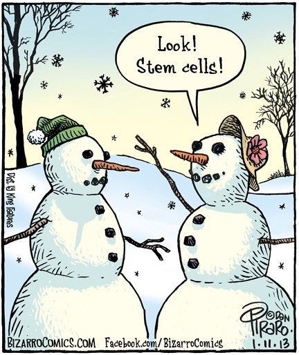 "Look Stem Cells" comic