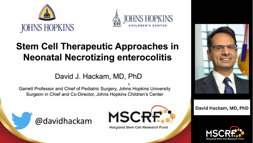 Stem Cell Therapeutic Approaches in Neonatal Necrotizing Enterocolitis