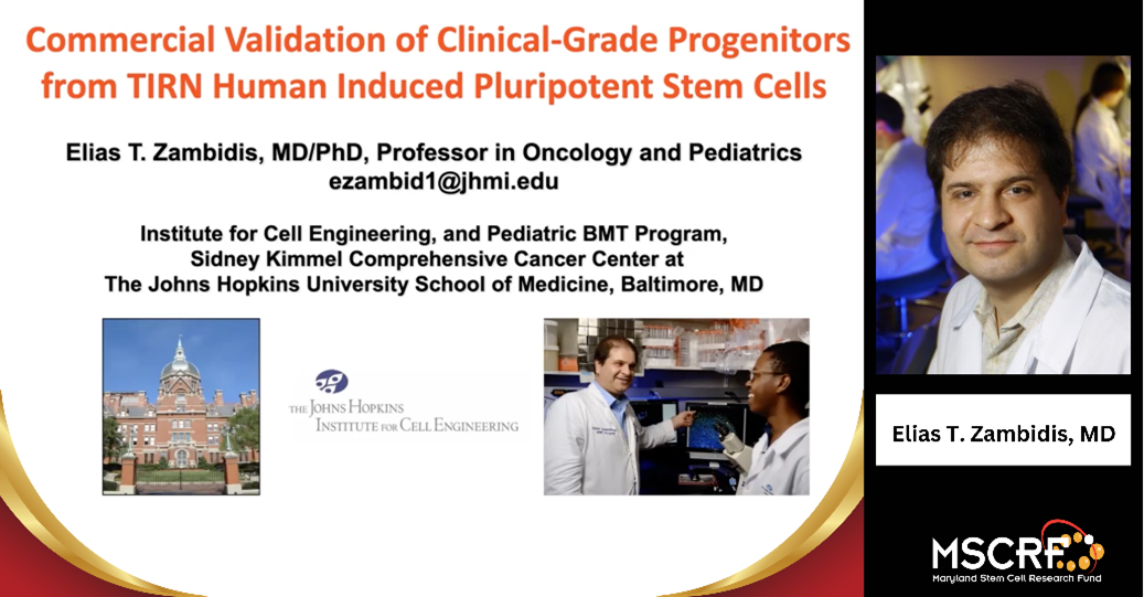 Commercial Validation of Clinical-Grade Progenitors from TIRN Human Induced Pluripotent Stem Cells