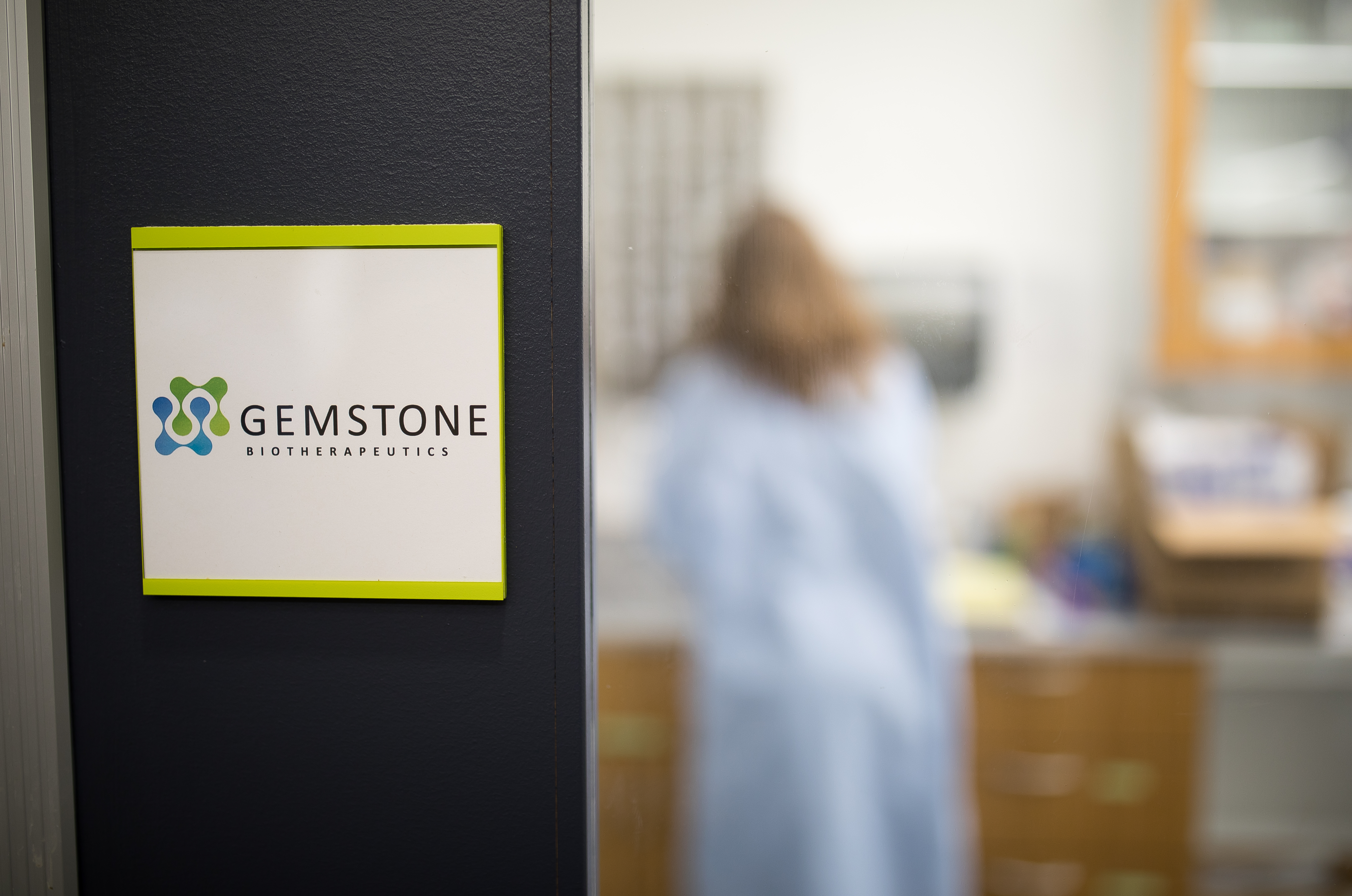 Gemstone lab door